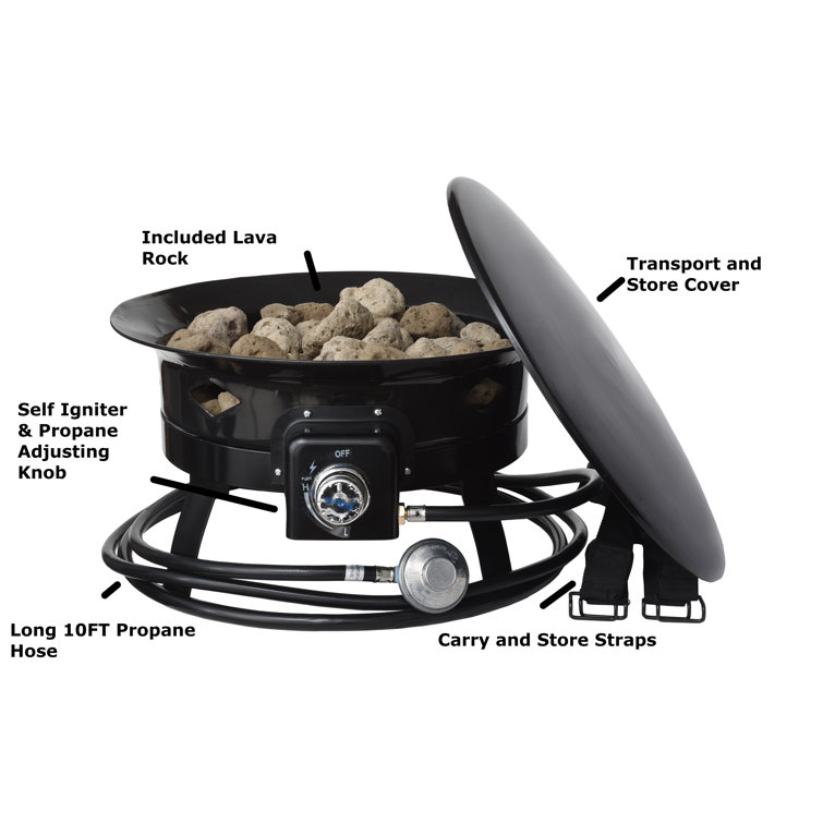 Latitude Run® 10'' H x 19'' W Steel Propane Outdoor Fire Pit with Lid